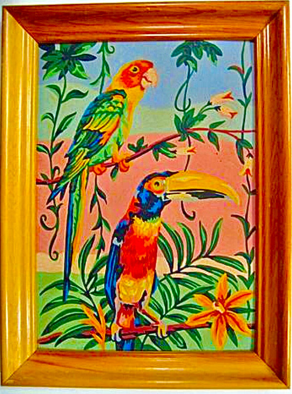 Pourquois, Parakeet ? Paint by Numbers Kits