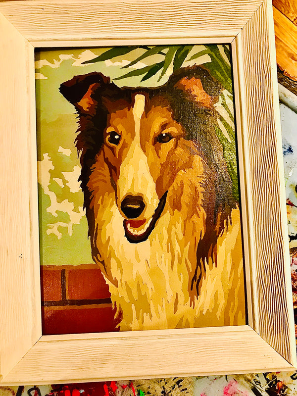 Calling ALL Collie Lovers ❤️ Paint by Numbers Kits